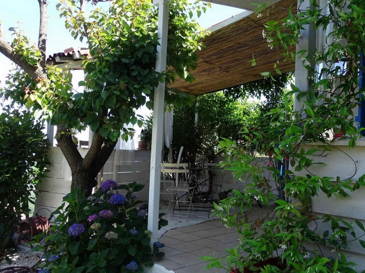Casa Pentone Villa Cervione Buitenkant foto