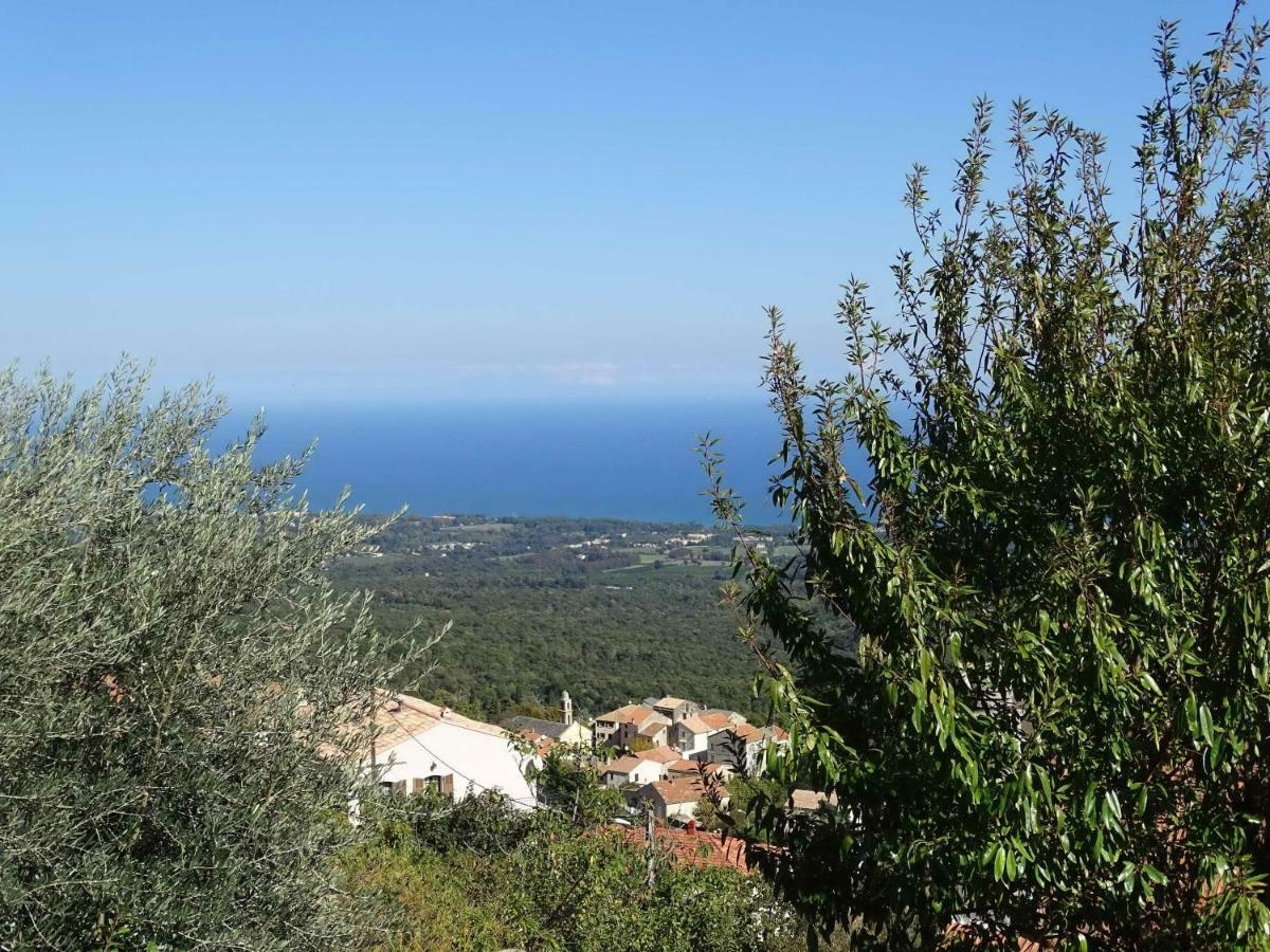 Casa Pentone Villa Cervione Buitenkant foto